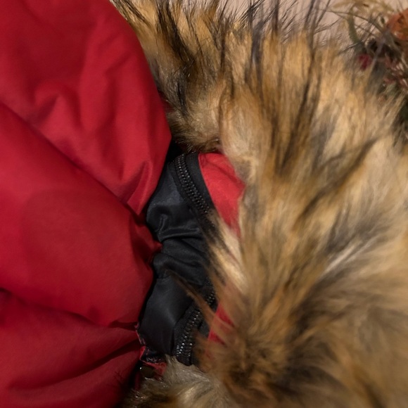 Number down puffer coat - Picture 7 of 9